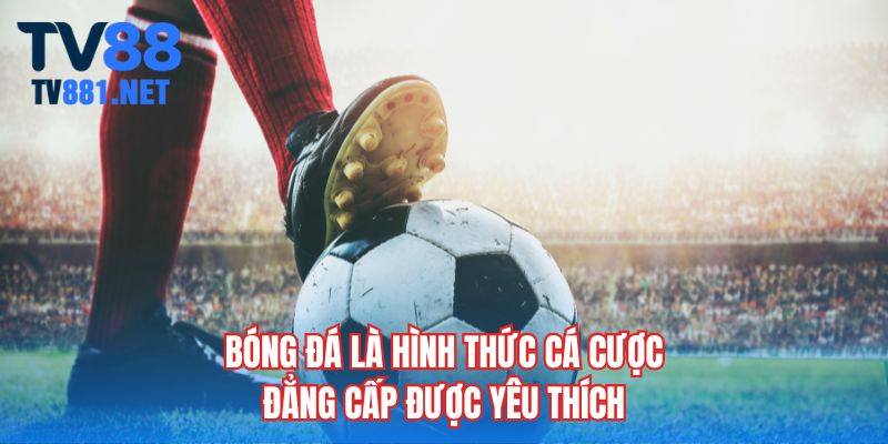 Bóng đá là hình thức cá cược đẳng cấp được yêu thích