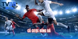 ca-cuoc-bong-da