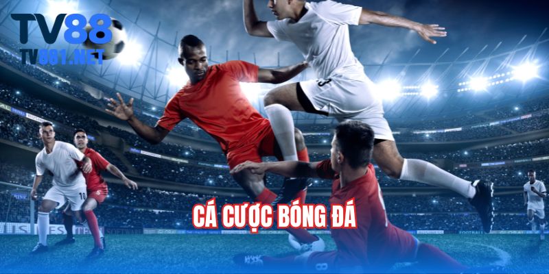 ca-cuoc-bong-da
