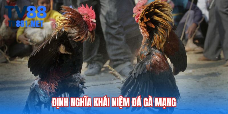 Định nghĩa khái niệm đá gà mạng