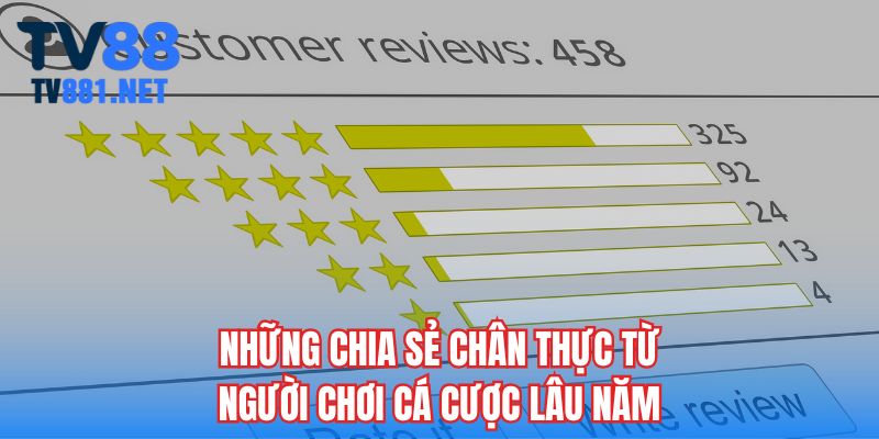 Những chia sẻ chân thực từ người chơi cá cược lâu năm