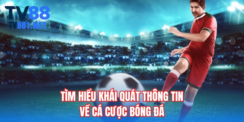 Tìm hiểu khái quát thông tin về cá cược bóng đá